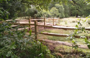 Wood Fencing Installers Berkshire