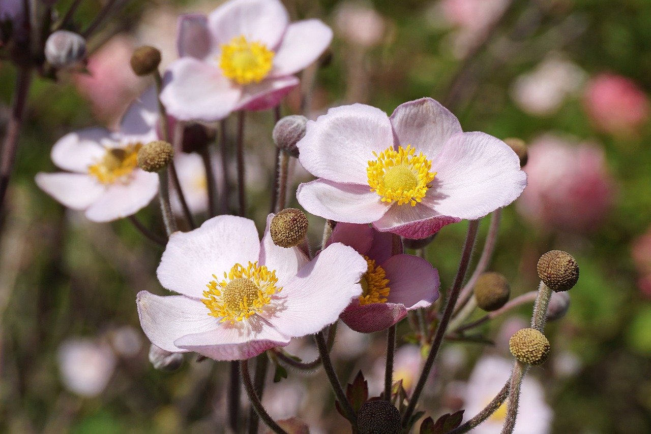 The Best Plants for a Stunning Winter Garden in Surrey